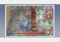 20110129收藏马未都视频和笔记:春节,花神,百花不落地,天干地支