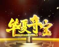 华夏夺宝标志