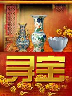 寻宝logo