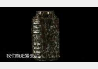 20120512寻宝视频和笔记:走进阆中(一),木雕,斗彩盘,碧玺,黎之彦