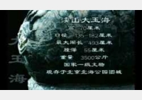 20041207国宝档案视频和笔记:渎山大玉海(下),北海,玉瓮亭,团城