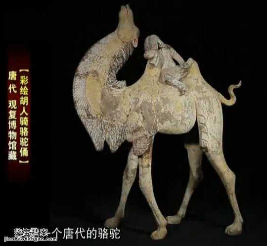 唐代彩绘胡人骑骆驼俑